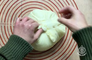 modelagem pão de fermentação natural