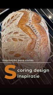🇧🇷⬇️ / 🇳🇱 Scoring oefenen met overgebleven deeg is mijn favoriete manier om de dag af te sluiten na een workshop. 

Enkele tips voor meer gedetailleerde designs:
✅ Zet het deeg 30–45 minuten in de vriezer vóór het insnijden.
✅ Begin met de secundaire sneden en bewaar de grote insnede voor het laatst.
✅ Bak het brood eerst 6 minuten en maak daarna pas de grote snede. Dat geeft je veel meer controle.

Wat vind je van dit design? Laat het me weten in de reacties! 👇
💛 In mijn workshop maak je je eerste zuurdesembrood van begin tot eind link in bio ⇒ @baila.bakes

—

🇧🇷 Praticar scoring com a massa que sobra do workshop é uma das minhas partes favoritas do domingo.

Algumas dicas para criar desenhos mais detalhados:
✅ Coloque a massa no freezer por 30–45 minutos antes de fazer os cortes.
✅ Comece pelos cortes secundários e deixe o corte principal para o final.
✅ Asse a massa por 6 minutos e só depois faça os cortes principais, Você vai ter muito mais controle.

Você gostou desse design? Me conta nos comentários! 👇
💛 Quer aprender do zero? O curso 100% Sourdough está te esperando. Link na bio @baila.bakes

#Bailabakes #sourdoughscoring #zuurdesem #desembrood #desembroodworkshop