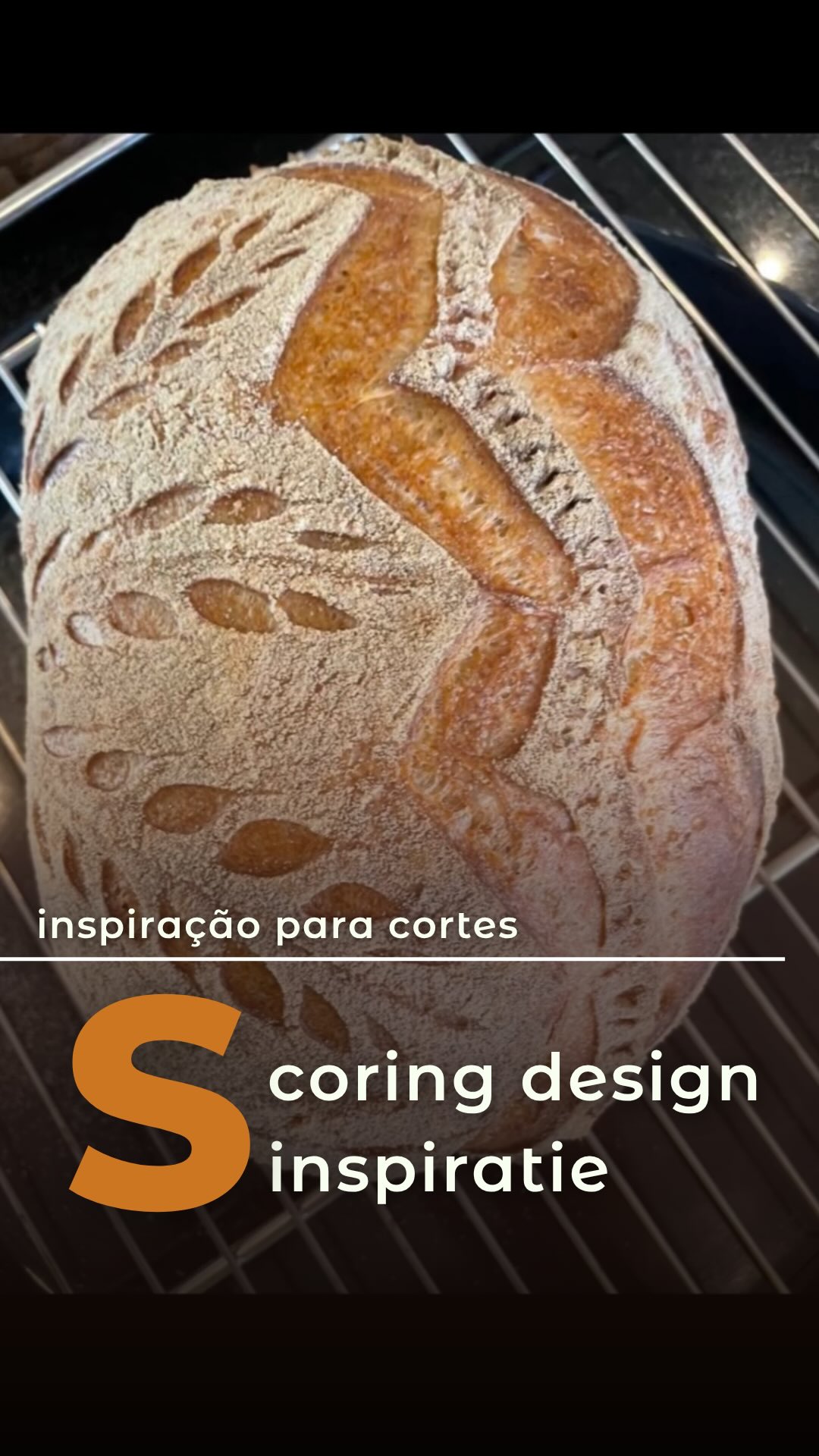 🇧🇷⬇️ / 🇳🇱 Scoring oefenen met overgebleven deeg is mijn favoriete manier om de dag af te sluiten na een workshop. 

Enkele tips voor meer gedetailleerde designs:
✅ Zet het deeg 30–45 minuten in de vriezer vóór het insnijden.
✅ Begin met de secundaire sneden en bewaar de grote insnede voor het laatst.
✅ Bak het brood eerst 6 minuten en maak daarna pas de grote snede. Dat geeft je veel meer controle.

Wat vind je van dit design? Laat het me weten in de reacties! 👇
💛 In mijn workshop maak je je eerste zuurdesembrood van begin tot eind link in bio ⇒ @baila.bakes

—

🇧🇷 Praticar scoring com a massa que sobra do workshop é uma das minhas partes favoritas do domingo.

Algumas dicas para criar desenhos mais detalhados:
✅ Coloque a massa no freezer por 30–45 minutos antes de fazer os cortes.
✅ Comece pelos cortes secundários e deixe o corte principal para o final.
✅ Asse a massa por 6 minutos e só depois faça os cortes principais, Você vai ter muito mais controle.

Você gostou desse design? Me conta nos comentários! 👇
💛 Quer aprender do zero? O curso 100% Sourdough está te esperando. Link na bio @baila.bakes

#Bailabakes #sourdoughscoring #zuurdesem #desembrood #desembroodworkshop