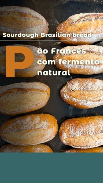 🇧🇷 ⬇️/ 🇬🇧 Crispy on the outside, soft on the inside, and packed with flavour! 😍 This Brazilian bread recipe is a treat for your taste buds. Today I made a 20% whole wheat version. Want to learn how to make it step by step? Head to my YouTube channel for the full recipe! 🌟https://youtu.be/JmavkVbLtvs🇧🇷 Crocante por fora, macio por dentro e cheio de sabor! 😍 Essa receita de pão francês é uma das preferidas aqui em casa. Hoje fiz uma versão com 20% de farinha de trigo integral. Quer aprender a fazer passo a passo? Vá ao meu canal no YouTube e confira a receita completa! https://youtu.be/JmavkVbLtvs🇬🇧/🇧🇷Ingredients:400g all-purpose flour/ farinha de trigo 100 whole wheat flour/ farinha de trigo integral100g levain315g water/água10g salt/ sal15g sugar/açúcar60g butter/ manteiga💬 What’s your favourite topping for fresh bread?#paofrancês #bailabakes #fermentaçãonatural #pãodefermentaçãonatural #paocaseiro #paoartesanal