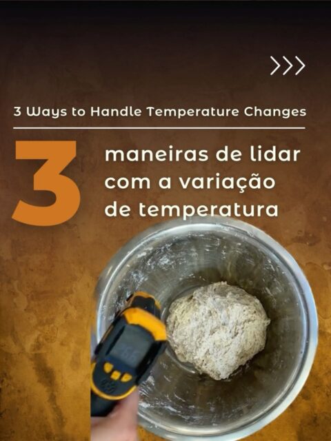🇧🇷⬇️/ 🇬🇧 How to manage temperature changes As the seasons change, so does your dough. Learning to adapt is the secret to baking consistent bread all year round.🥶 In cold weather, everything slows down:✴️use warmer water✴️extend fermentation time✴️ and add a little more levain.🥵 In warm weather, everything speeds up: ✴️ use cooler water ✴️ reduce the amount of levain ✴️ let your dough rest somewhere cooler➡️ Where you store your starter or leave your dough to rest directly affects fermentation speed.Temperature is your most powerful tool for mastering fermentation.🇧🇷 Como controlar as mudanças de temperatura À medida que as estações mudam, sua massa também muda. Aprender a se adaptar é o segredo para pães consistentes o ano todo. 🥶Em dias frios, tudo desacelera✴️ use água mais morna✴️ adicione um pouco mais de levain.✴️ deixe a massa descansar em um lugar mais quente 🥵Em dias quentes, tudo acelera: ✴️ use água mais fria ✴️reduza a quantidade de levain ✴️deixe a massa repousar em um local mais fresco ➡️O lugar onde você guarda o fermento ou deixa a massa descansar influencia diretamente a velocidade da fermentação. A temperatura é sua ferramenta mais poderosa para dominar a fermentação.🔥 Workshop | Baila Bakes Leer nu hoe je heerlijk desembrood kunt bakken! 👉 Klik op de link in bio ➡️ @baila.bakes🇧🇷 Mora na Holanda? Participe de um workshop comigo e aprenda a fazer seu próprio pão de fermentação natural. Ou junte-se aos meus alunos do curso online 100% Sourdough. ✅ Mais de 30 vídeo-aulas em alta resolução + e-books para baixar ✅ Super pacote de bônus ✅ 14 dias de garantia incondicional ✅ Comunidade exclusiva no Facebook 📘 Baixe GRÁTIS seu Diário do Pão no link da bio.🇬🇧 Workshops are usually in Dutch and Portuguese. Interested in a workshop in English? Send me a DM.